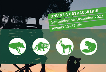 Zweite Runde Online-Vortragsreihe „Wildtiere und Mensch – Spannungsfelder und Lösungswege“ startet