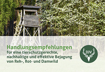 DJV-Broschüre „Handlungsempfehlung für Jagd auf Reh, Rot- und Damhirsch“